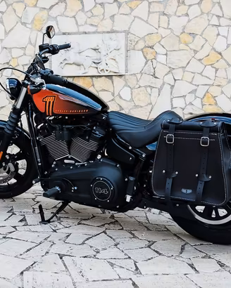 Harley-Davidson Softail Street Bob 114