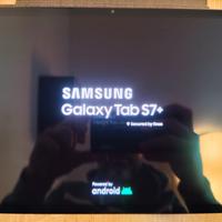 Samsung Galaxy Tab S7+