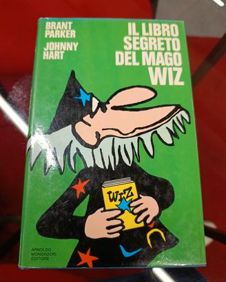 Il libro segreto del mago Wiz