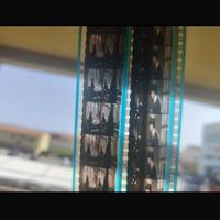 Pellicola originale del film di harry potter