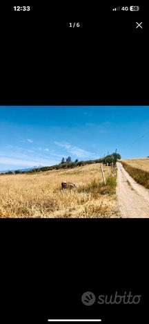 Vend Terreno Agricolo Ramacca