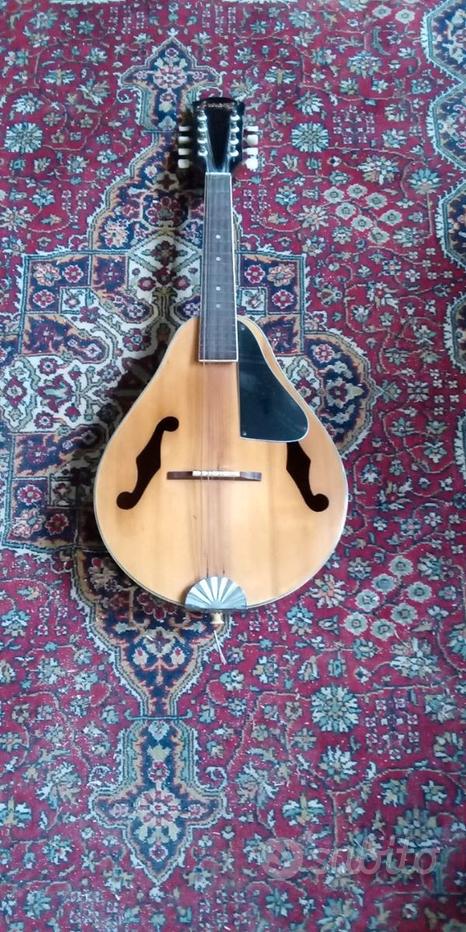 Custodia Per Mandolino Shipenophy - Tessuto Oxford Impermeabile, Tasca Laterale Grande, Cinturino Regolabile, Doppia Cerniera