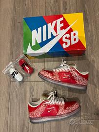 Nike SB x Stingwater