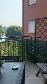 Vista diretta sul parco e laghetto