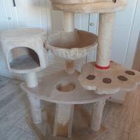 tiragraffi gatto