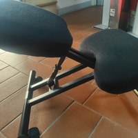 Sedia posturale ergonomico Minneapolis F2913