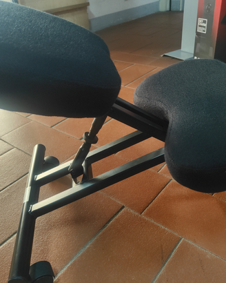 Sedia posturale ergonomico Minneapolis F2913