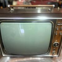 Televisore Phonola TT1798 Kariba funzionante