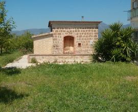 Terreno agricolo con rustico