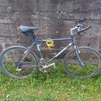 Bicicletta mountain bike Wheeler 6600
