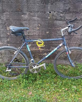 Bicicletta mountain bike Wheeler 6600