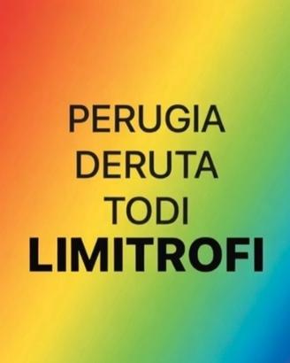 Pulitore - facchino -lavapiatti automunito pg+prov