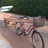 bicicletta con carrettino
