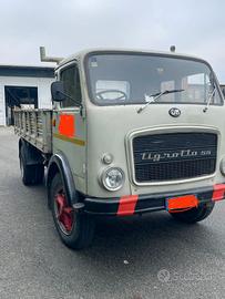 Om tigrotto 55 anno 1967