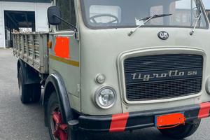 Om tigrotto 55 anno 1967