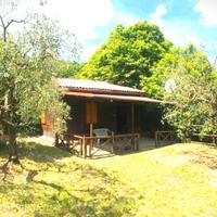 Casa di campagna con castagneto- amelia