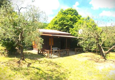 Casa di campagna con castagneto- amelia