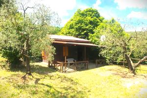 Casa di campagna con castagneto- amelia