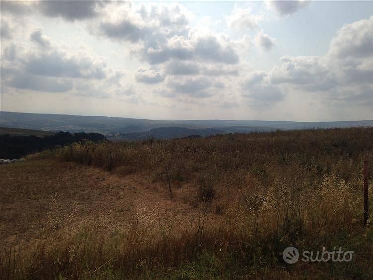 Terreno di 42340 m² a Tuscania - Vista 5