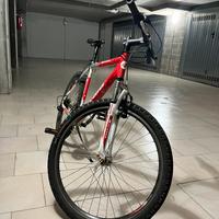 Bicicletta Mountain Bike adulto