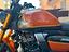 Immagine 26