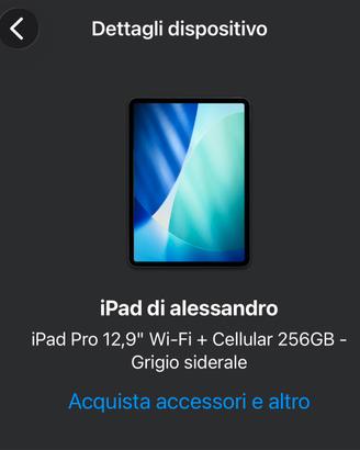 Apple Ipad  Pro 12,9 wifi+ cellular 6th gen