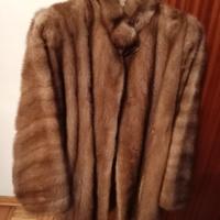 visone canadese corto