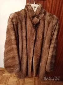 visone canadese corto