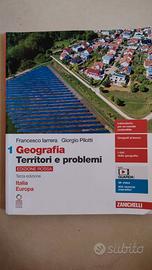 Geografia territori e problemi 9788808278128