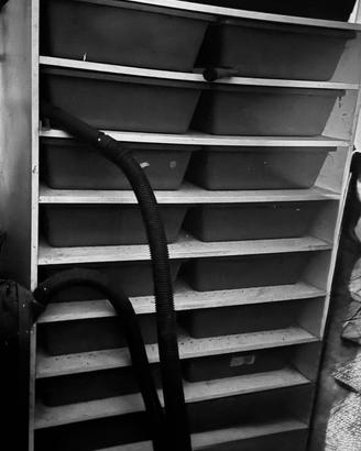 Rack per rettili
