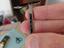 Immagine 3