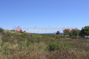 Terreno Agricolo Manduria [0001VCG]