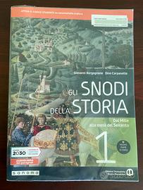 Gli snodi della storia 1
