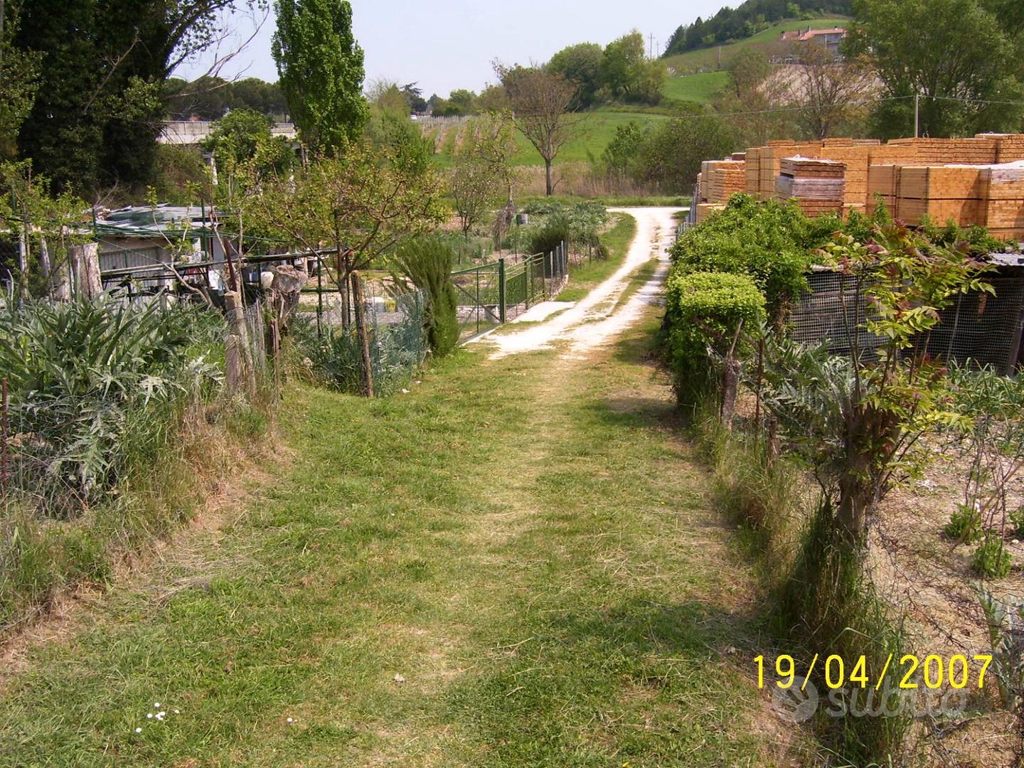 Terreno con alberi da frutta - Vista 5