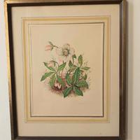 Tre Acquerelli VITTORIO GUIDOTTI Soggetti Floreali