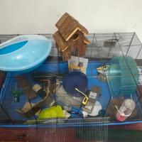 Gabbia per criceti nani/piccoli animali+ accessori