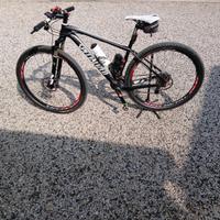 mtb specialized carbono
