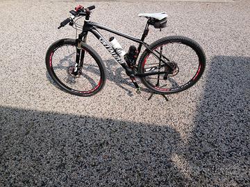 mtb specialized carbono