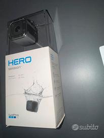 Go pro