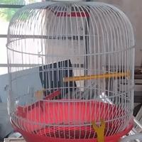 Gabbia per uccelli