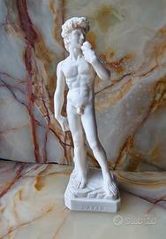 La scultura di David - un eroe rinascimentale