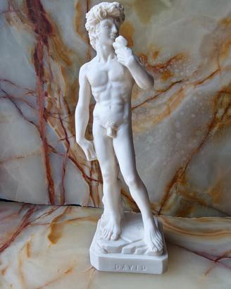 La scultura di David - un eroe rinascimentale