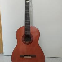 Chitarra acustica 