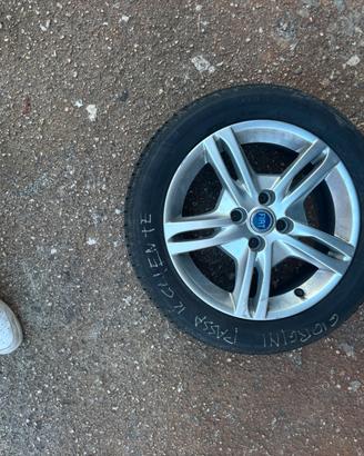 Gomme Fiat