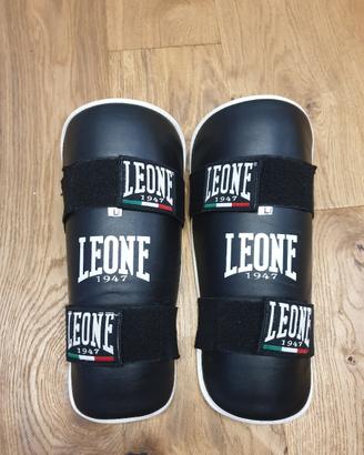Paratibie parastinchi Leone L