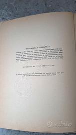 libro antico 1927 tutta la vita in quindici giorni
