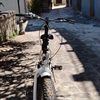 bici fat bike non elettrica