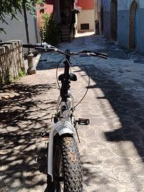 bici fat bike non elettrica