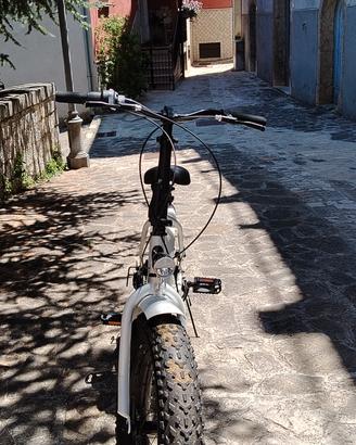 bici fat bike non elettrica