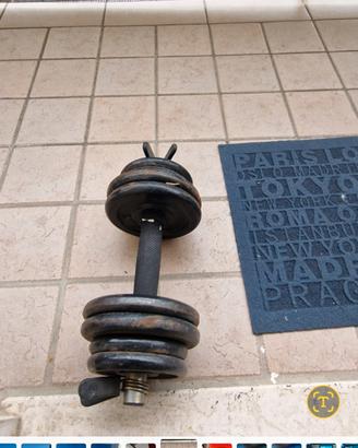 manubri pesi 14kg